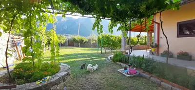 a group of children sitting in the grass near a house at Vila Pegaz in Virpazar