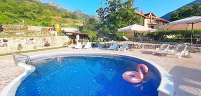 a swimming pool with a pink flamingos in it at Vila Pegaz in Virpazar