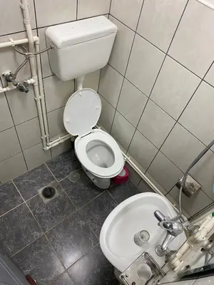 a small bathroom with a toilet and a sink at Sobe Krin - Smestaj Canj in Čanj
