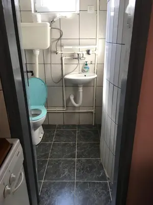 a small bathroom with a toilet and a sink at Sobe Krin - Smestaj Canj in Čanj