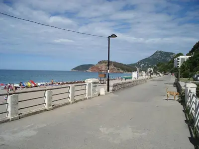 a dog walking down a street next to the beach at Dalukos Apartmani in Sutomore