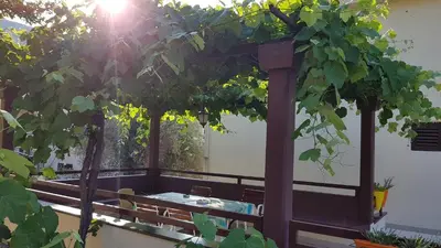 a gazebo with a bunch of green vines at Gregovic Family Apartments in Petrovac na Moru