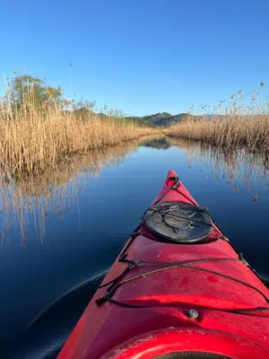 a red kayak is on a river with grass at Sunny balconies apartments Skadar Lake in Virpazar