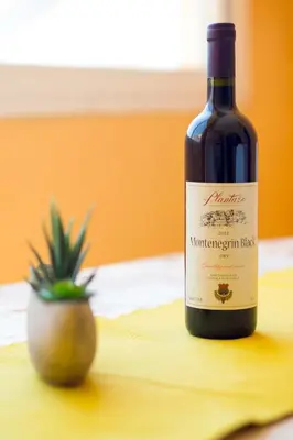 a bottle of wine next to a plant on a table at Apartments Dalila in Ulcinj
