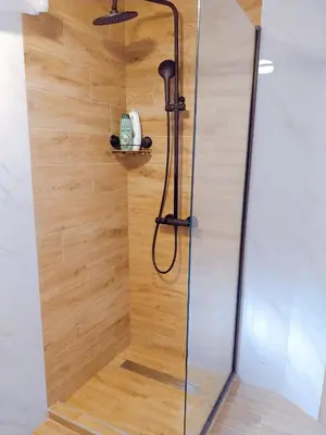 a shower with a glass door on a wooden wall at Apartment Dora in Kotor