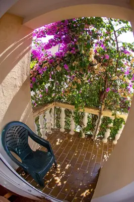 a black chair sitting on a balcony with flowers at Guest House Lotos in Becici