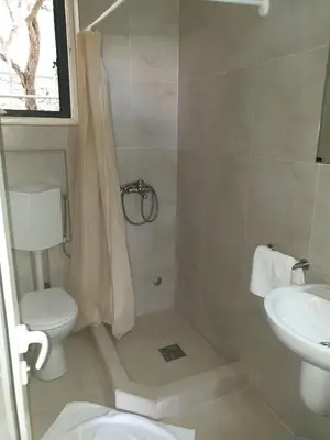 a bathroom with a shower and a toilet and a sink at Zoro Apartments in Sveti Stefan