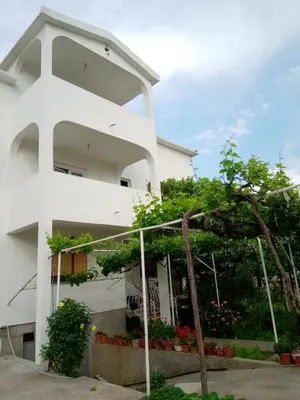 a white house with a tree in front of it at Hostel Olea in Podgorica
