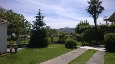 a garden with a palm tree and a fence at Pensions Airport in Podgorica