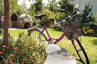 a bike with a basket parked in a yard at Apartments Wild Beauty in Sutomore