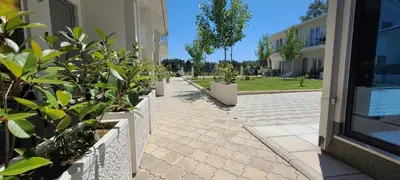a sidewalk with potted plants next to a building at Casa Al Mare in Ulcinj