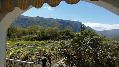 a view of a farm with mountains in the background at Vacation home in Virpazar
