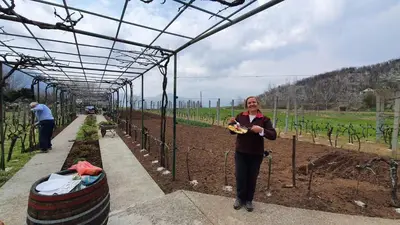 a woman standing in a greenhouse with plants at Vacation home in Virpazar