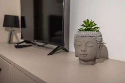 a plant in a vase sitting on a desk at Apartments Irena in Becici