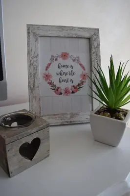 a picture frame and a potted plant on a table at Apartman Bloom in Bar
