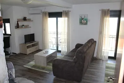 a living room with a couch and a tv at Forest Apartments in Kotor