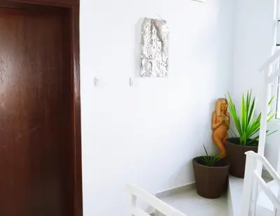 a hallway with two potted plants and a door at Apartments Nikčević in Budva