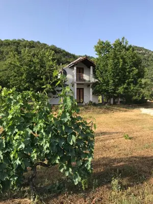 an old house in a field with trees at Milovan in Cetinje