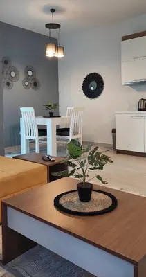 a living room with a table with a potted plant on it at Long Beach Apartment in Ulcinj