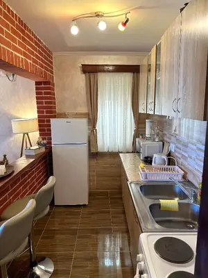 a kitchen with a white refrigerator and a sink at Albomi in Kotor