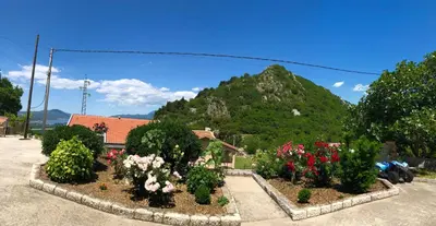 a bunch of flowers in a yard with a mountain at Albomi in Kotor