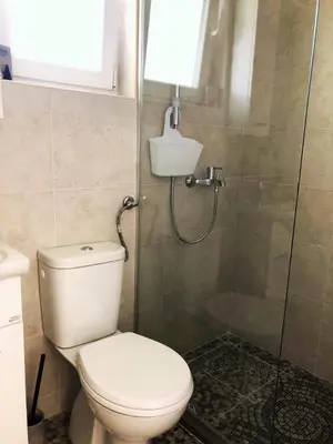 a bathroom with a toilet and a shower at Vila Jovana in Sutomore