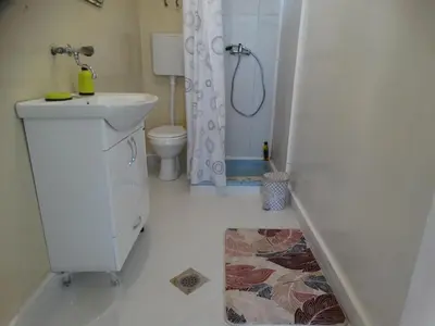 a bathroom with a sink and a toilet and a shower at Apartman Zorana in Bar