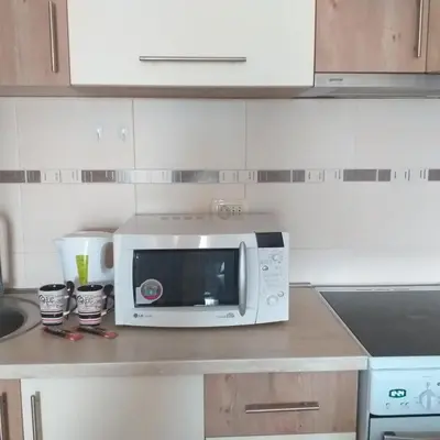 a white microwave sitting on a counter in a kitchen at Aphrodite Apartment in Podgorica