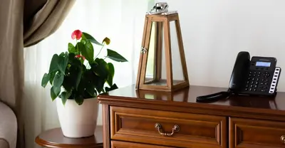 a desk with a phone and a potted plant on it at Oak Leaf Residences in Budva