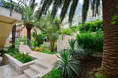 a garden with stairs and palm trees and a building at Palma Apartments in Kotor
