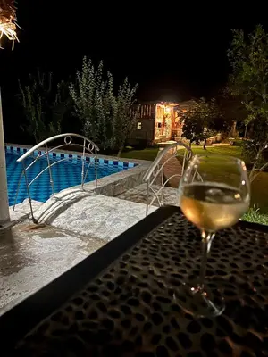 a glass of wine sitting on a table next to a pool at Forest Home in Golubovci