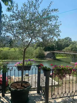 a tree in a pot next to a fence with flowers at Lake View Apartment Dodosi in Dodoši