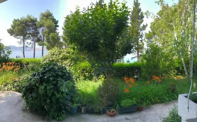 a garden with some plants and trees and flowers at Apartmani Sunce in Bar