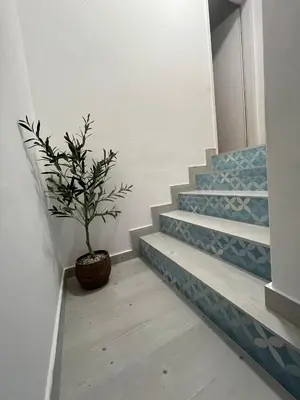 a plant sitting on the floor next to some stairs at Milena in Petrovac na Moru