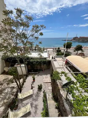 a view of the beach from a building with a tree at Milena in Petrovac na Moru