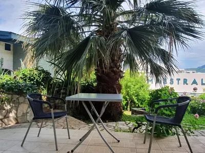 a table and two chairs in front of a palm tree at Apartments Villa Pržno in Sveti Stefan