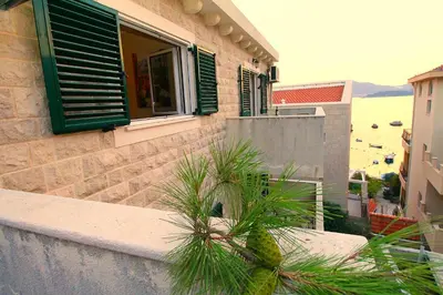 a house with a palm tree in front of a window at Guest House Villa Pastrovka in Sveti Stefan