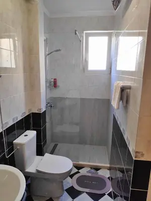 a bathroom with a toilet and a shower and a sink at Apartmani Asanović in Budva