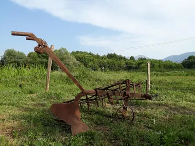 Gallery image of Camp Sunny Hills in Virpazar