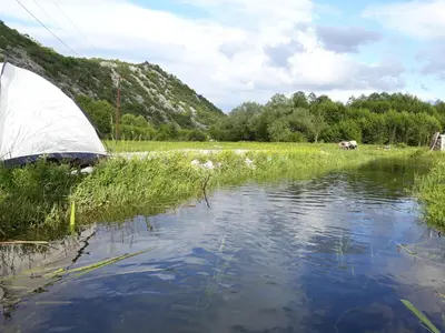 Gallery image of Camp Sunny Hills in Virpazar