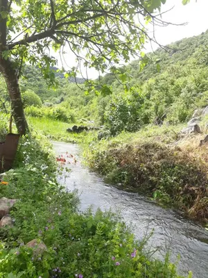 Gallery image of Camp Sunny Hills in Virpazar