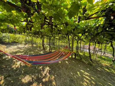 a hammock in the shade of a tree at Prevalis Nature Cottage in Virpazar