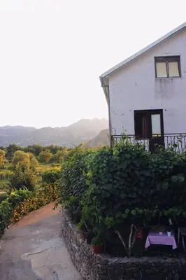 a white building with a bunch of vines around it at Studio and winery Kalimut in Virpazar