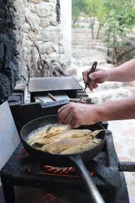 a person cooking food in a pan on a grill at Studio and winery Kalimut in Virpazar