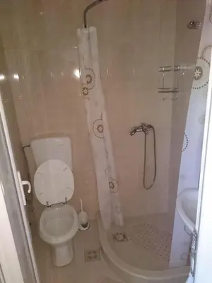 a small bathroom with a toilet and a shower at Studio and winery Kalimut in Virpazar