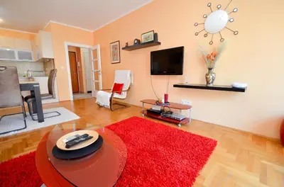 a living room with a red rug and a tv at Tea Lux Apartment in Kotor