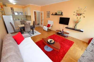 a living room with a couch and a red rug at Tea Lux Apartment in Kotor