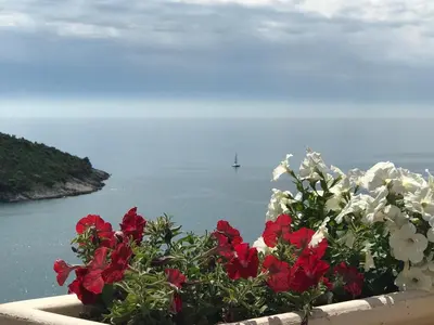 a flower pot with red and white flowers and the ocean at Apartments Blue Heaven in Ulcinj