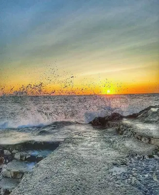 a group of birds flying over the ocean at sunset at Apartments Marina in Utjeha