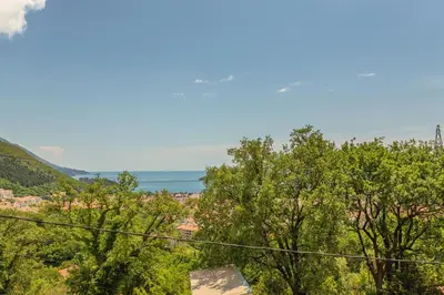 a view of trees and the ocean at Villa Sunny Hill in Budva